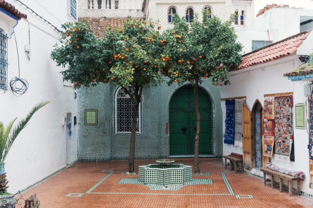 Mediterraner Innenhof mit Orangenbäumen und Brunnen als redaktionelles Ortsmotiv